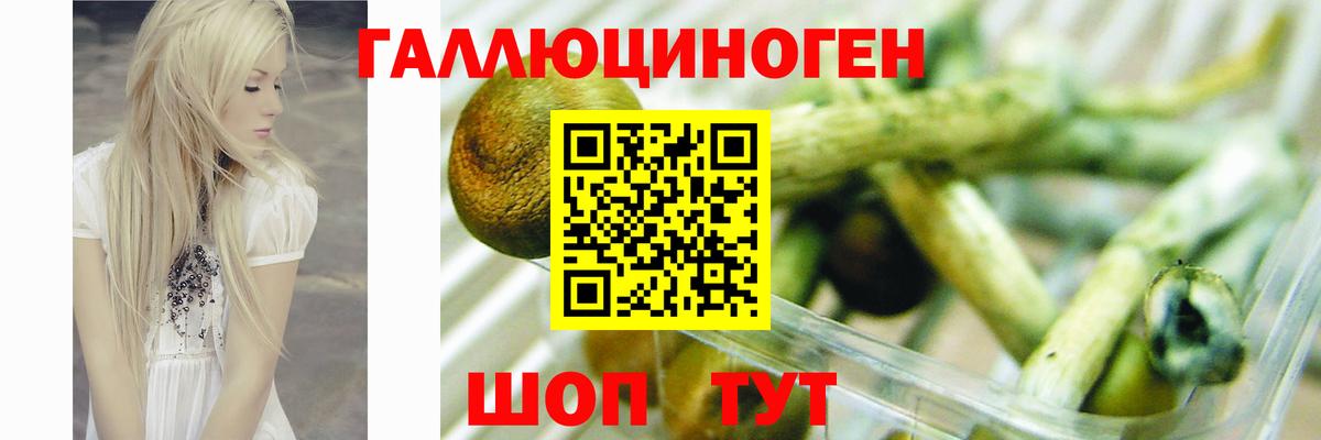 Псилоцибиновые грибы прущие грибы Аксай