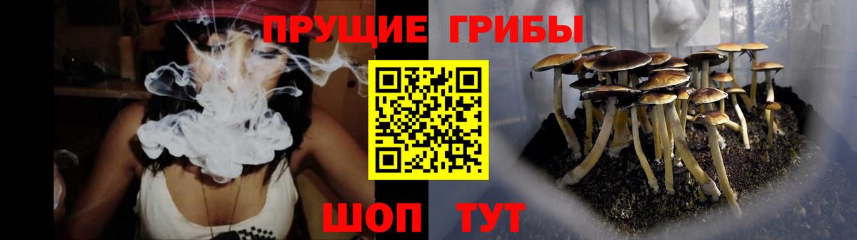 Аксай  Галлюциногенные грибы MAGIC MUSHROOMS  Вход с VPN  Псилоцибиновые грибы мицелий 
